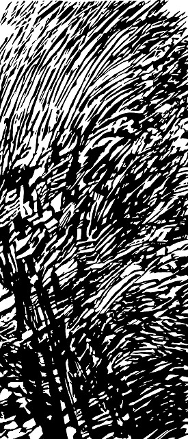 Windbaum